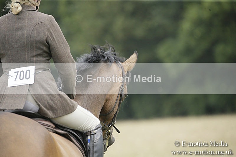 B230619-0616 - Bourne Valley Riding Club Summer Show 23/06/19
