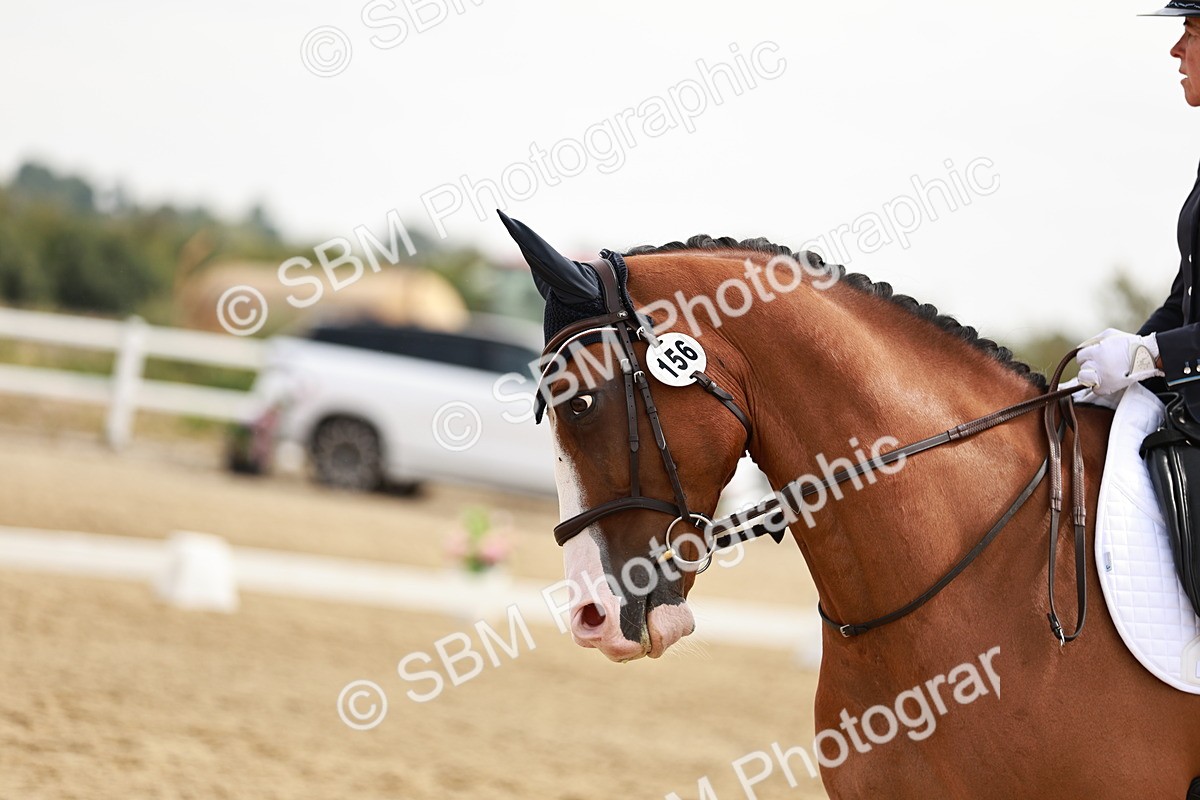 SBM_002675 - Class 6 - Novice 6 Silver - 10.17-11.20