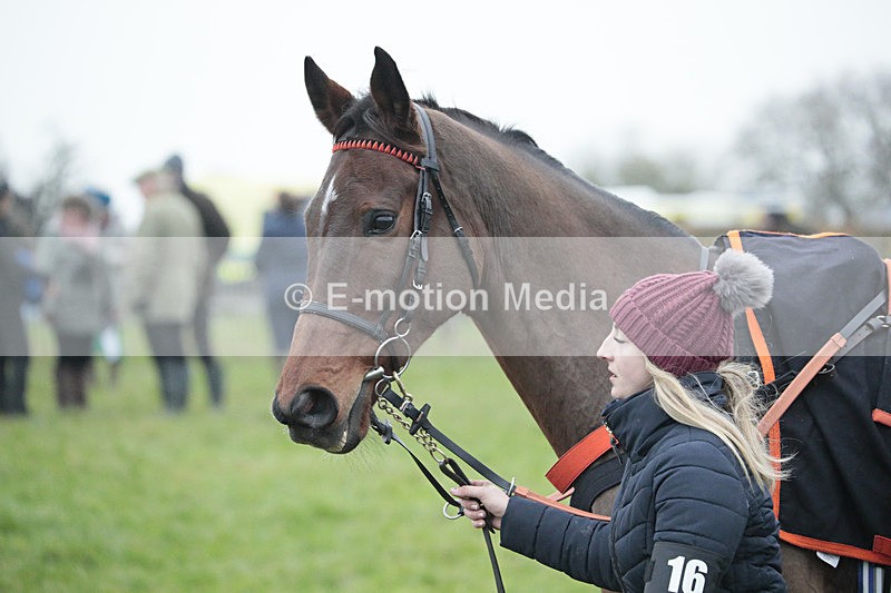 PtP 041222 0564 - Wheatland  Hunt PtP Chaddesley Corbett, Worcs 04/12/22