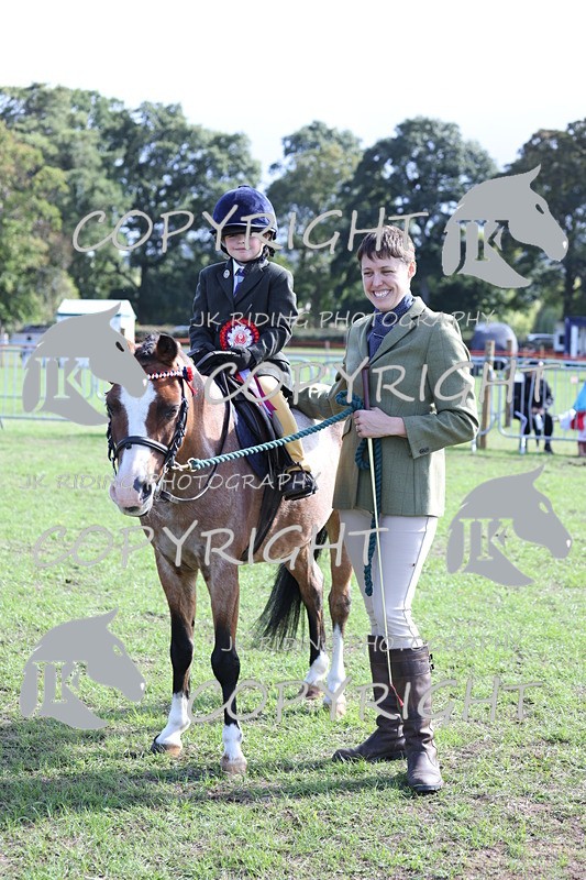 APP_3928 - Class 13 Lead rein