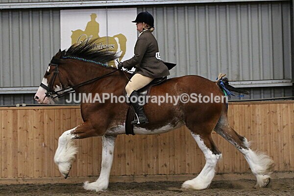 SIAL3309 - Sunday 14th Ridden