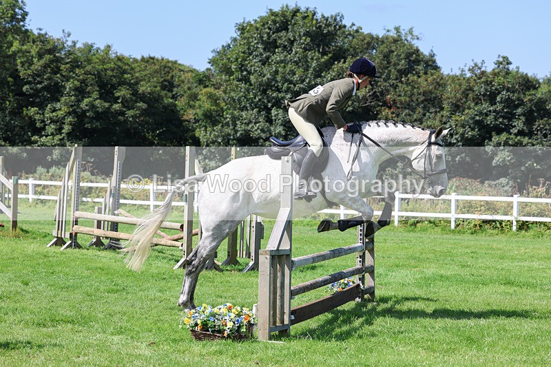 3E7A8583 - Class 5: Working Show Horse