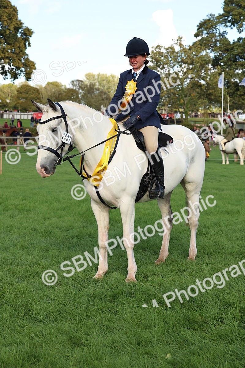 SBM_50178 - S34 - Novice & Newcomers Working Hunter