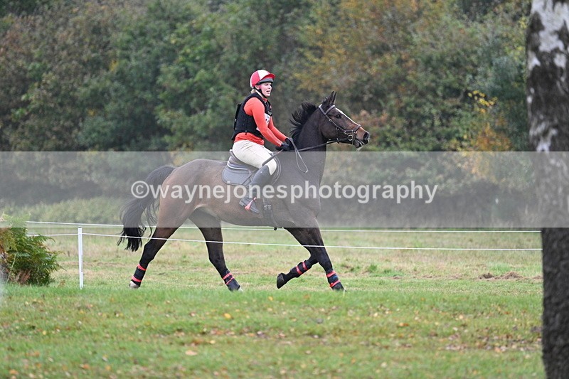 WJ7_0623 - 80cm Cam 2 Water Time 11:08 to 11:28