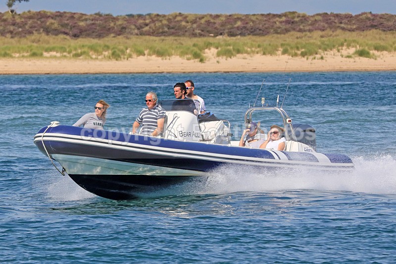 170813 BEAR ALL - COBRA RIB 1Y3A3266 - RIBs, Tenders, Dories, Dinghies