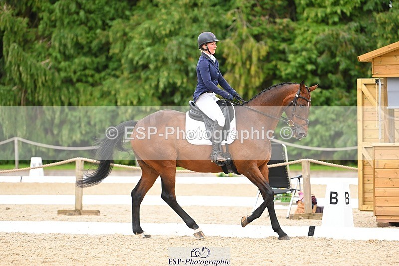 230813-141621-07715 - Cls 13 Medium Bronze 13.15 to End