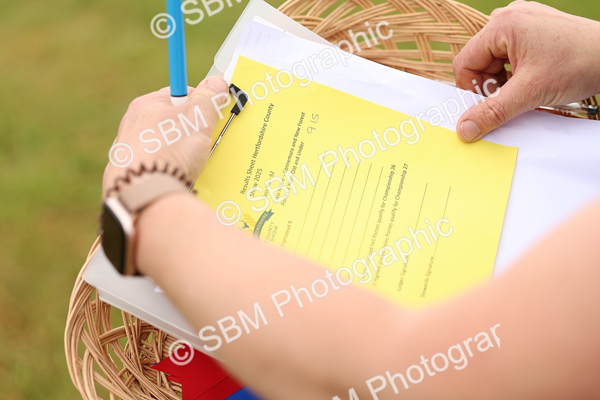 SBM_04042 - Class 64-67 - Shetland Pony In Hand