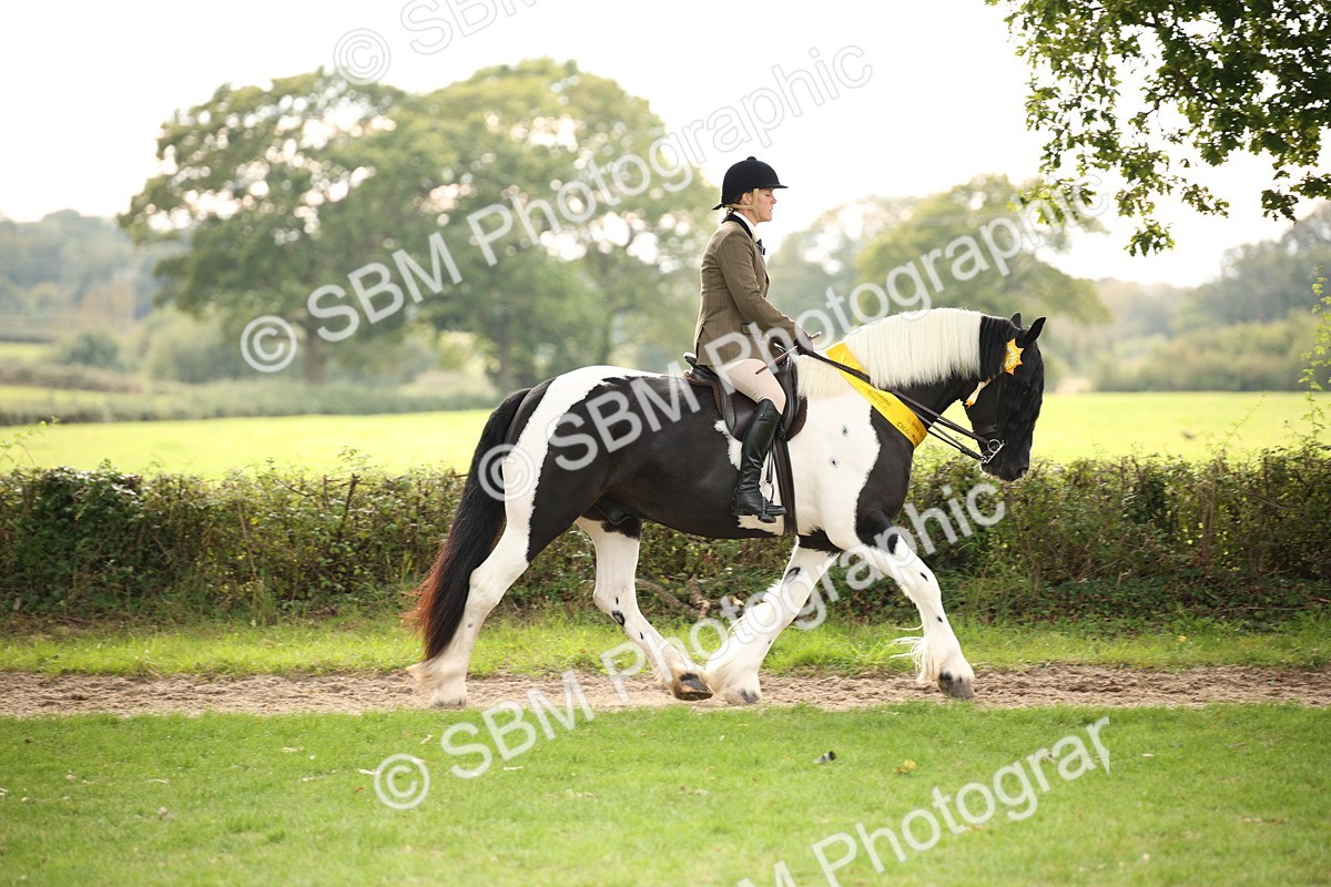 SBM_73621 - Ridden Horse Supreme Championship