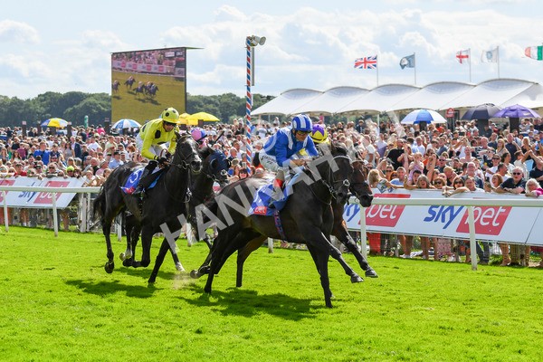 290723-Race 3-Alflaila-0555 - Race 3 3.15pm Sky Bet York Stakes (Group 2)