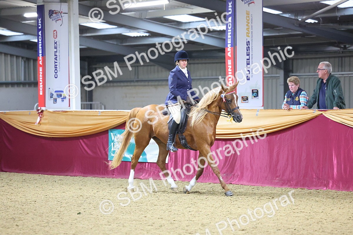 SBM_19074 - Class H Foreign Breeds Champ