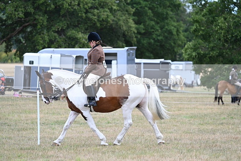 WJ7_4948 - Class 12 Ridden Cob