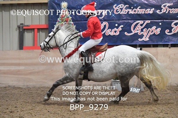 BPP_9279 - CLASS 5 60CM Progressive Show Jumping