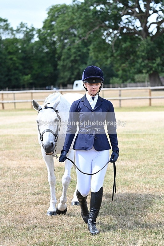 WJ7_1592 - Class 4 Prettiest Mare up to 14.2hh in hand
