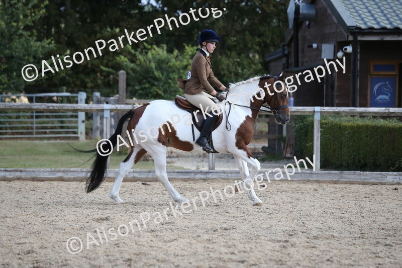 20260831-2790 - Class 16 and 17- Ridden Cob and Hunters