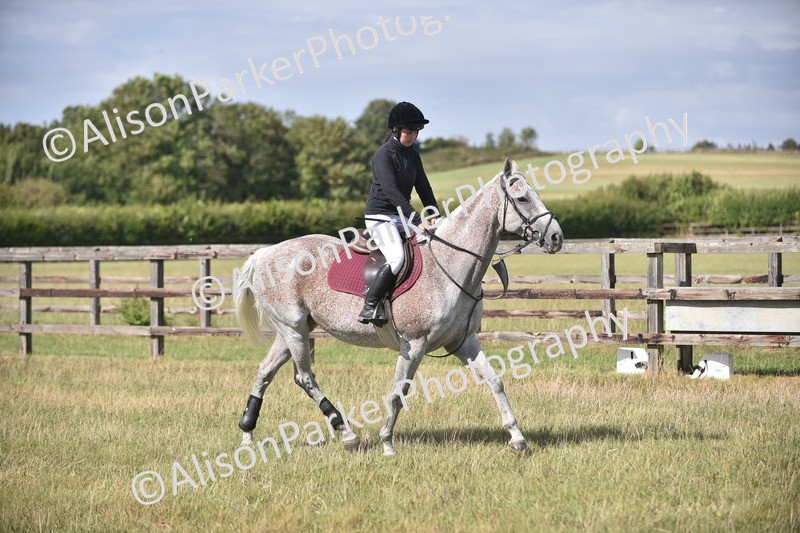 20260906-2704 - Class 13 - Working Hunter Horse or Pony