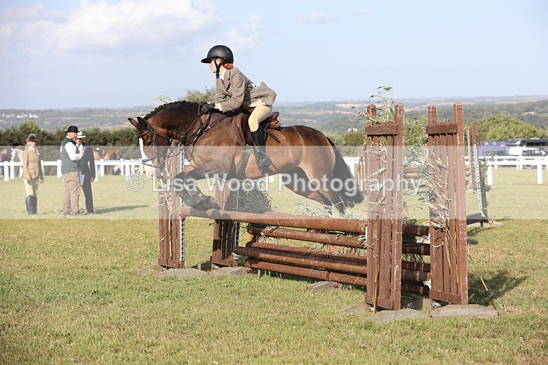 JPP_3218 - Class 21: Working Hunter 80cm