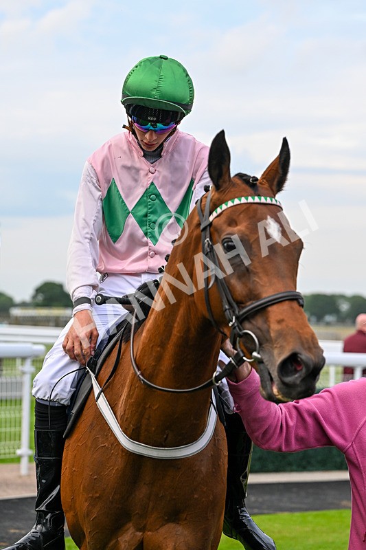 160626-Race 5-Anificas Beauty-5320 - Race 5 20.30pm Churchill Tyres Handicap