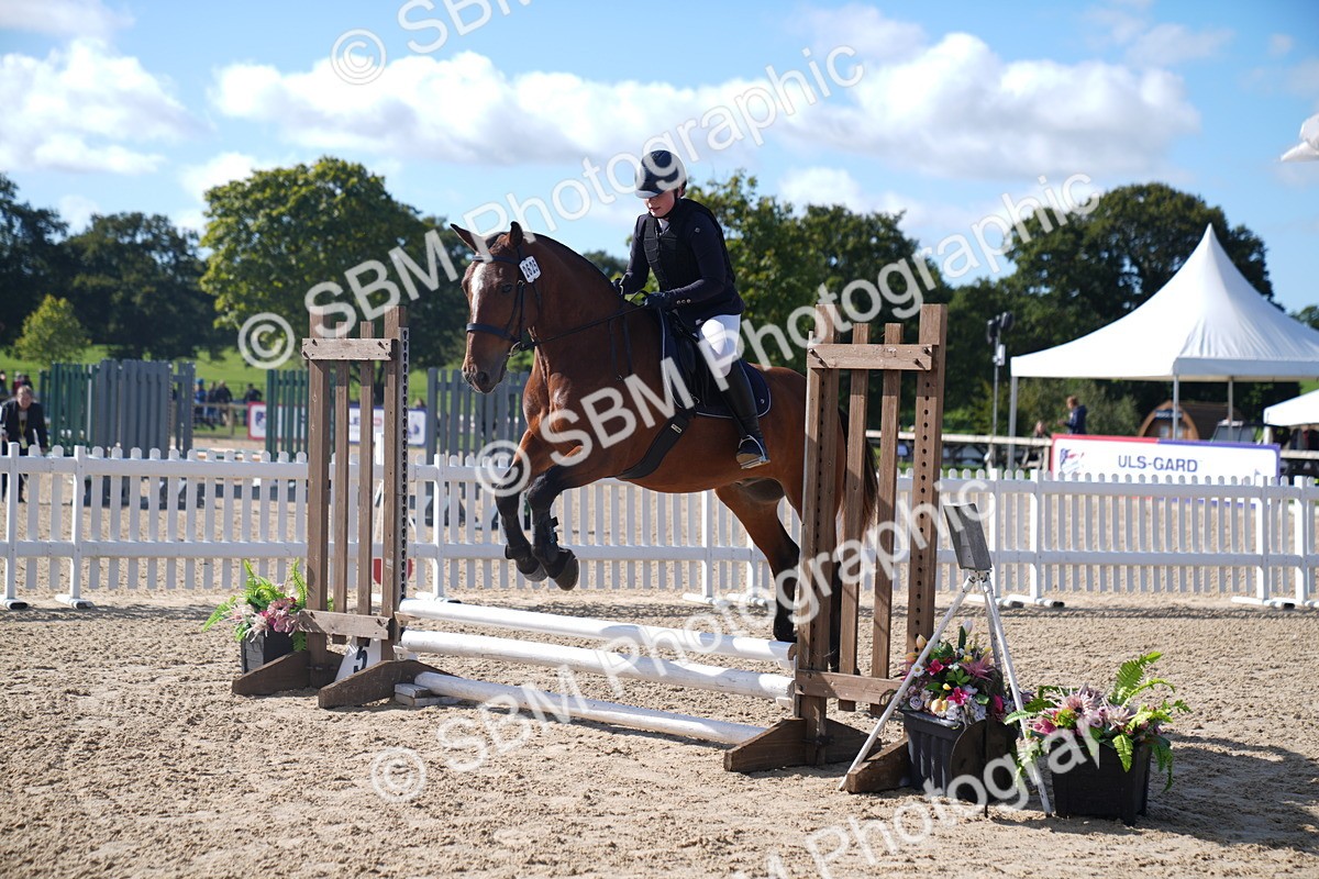 SBM_02376 - J54 Clear Round 45cm