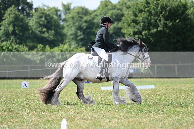 WJ7_3720 - Time 10:28 to 10:42