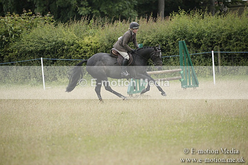 B230619-0737 - Bourne Valley Riding Club Summer Show 23/06/19
