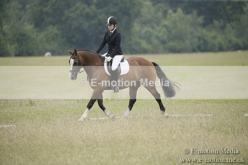 B230619-0665 - Bourne Valley Riding Club Summer Show 23/06/19