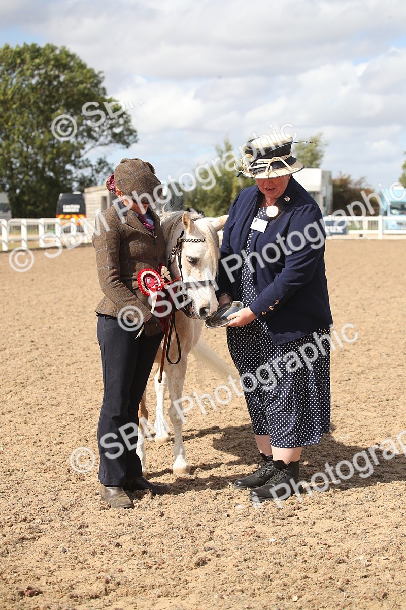 SBM_23473 - Class 604 - 2026 - Area IH Diamond