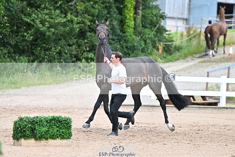 240718A-105322-01913 - Trot Up 2pm to 3pm - This folder is not in time order