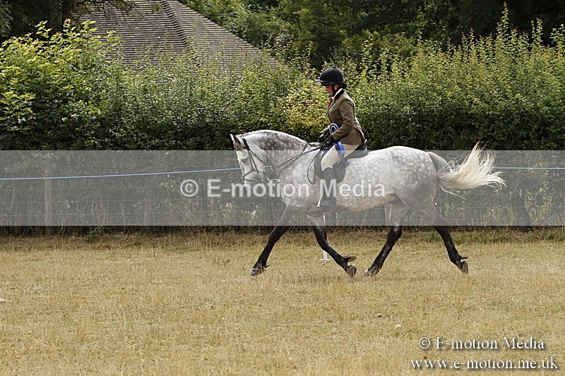 _BS_1044 - Working Hunter Championship BVRC Show 2018