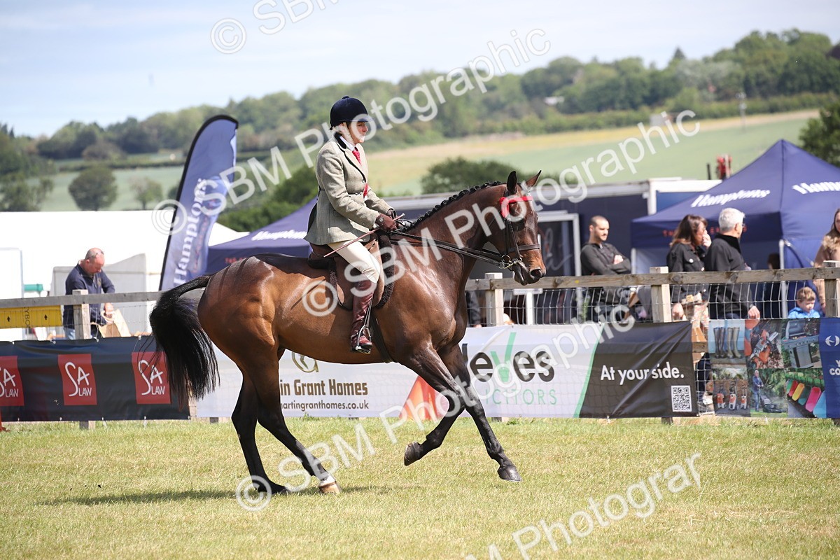 SBM_13342 - Class 95-96 - LIHS BSHA Rising Star Hack Riding Horse