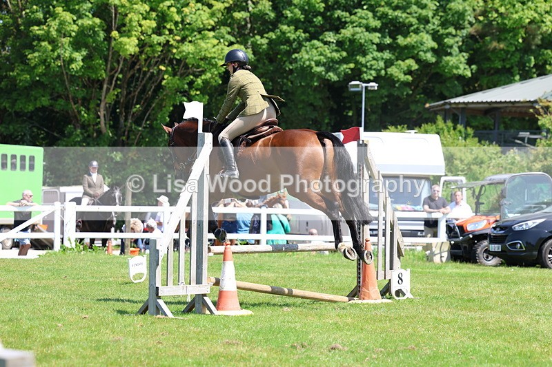 3E7A7097 - Class 30: Novice Working Hunter