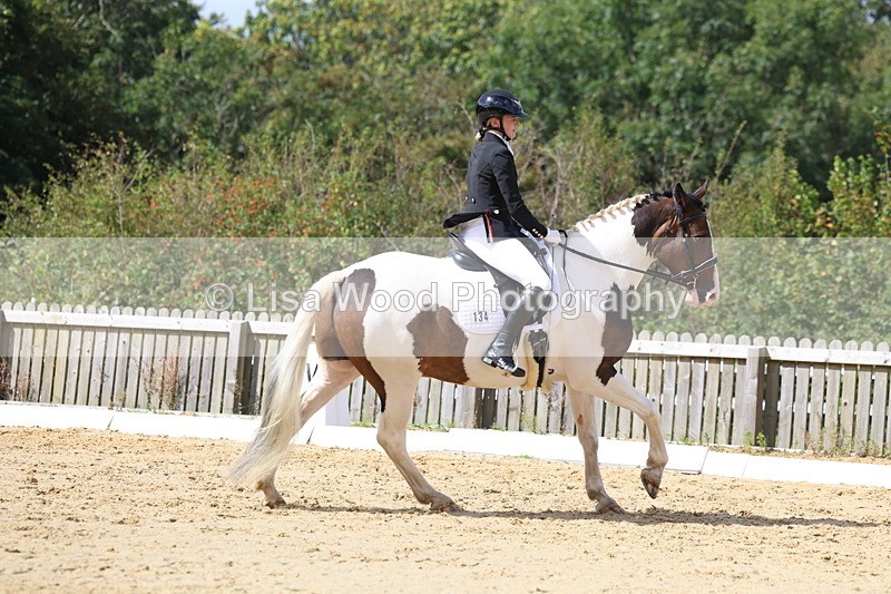 3E7A3241 - Class 5: Prelim 6 Section B Championship