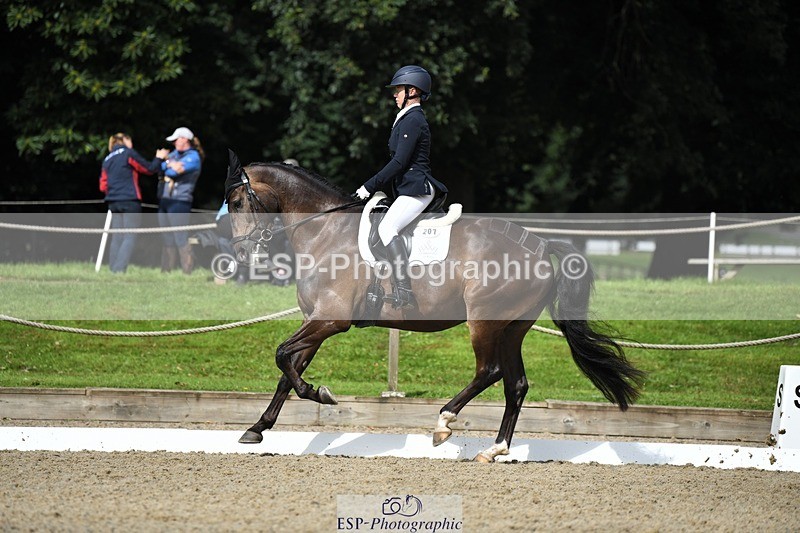 230812-104510-03463 - Cls 6 Novice Silver 10.30 to 11.55 break