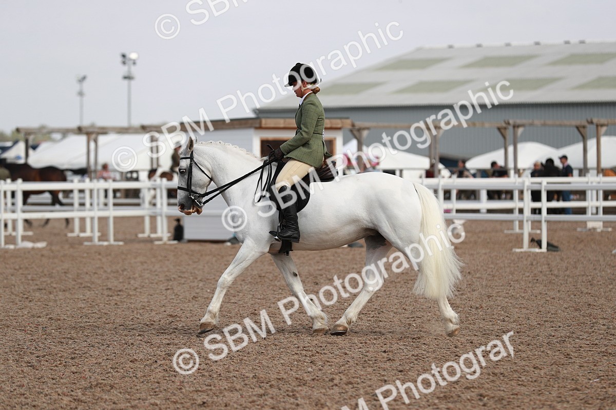 SBM_14911 - Class 212 Ridden Hunter - Small
