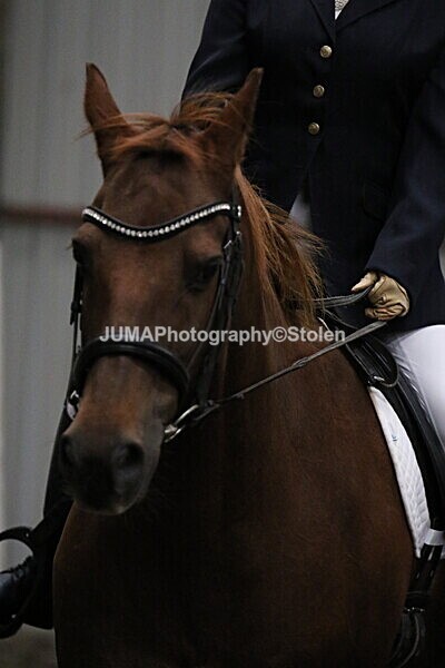 SIAL3606 - CAbin Dressage 5th july 2025