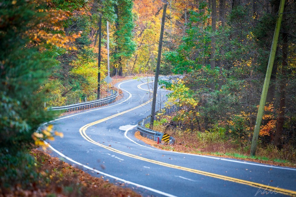 DSC_7720 - Autumn