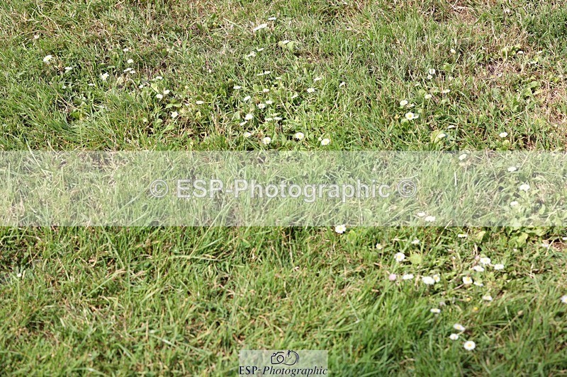 230617-160920-05866 - Cls 09 Blue Chip Pony Newc 2nd Rnd & Jump Off