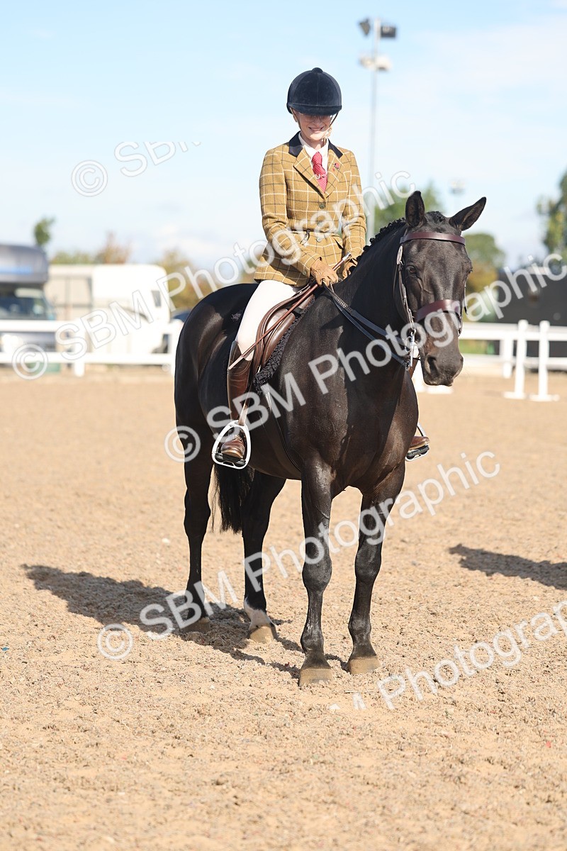 SBM_12389 - Class 304 - Ridden part Bred Horse Pony