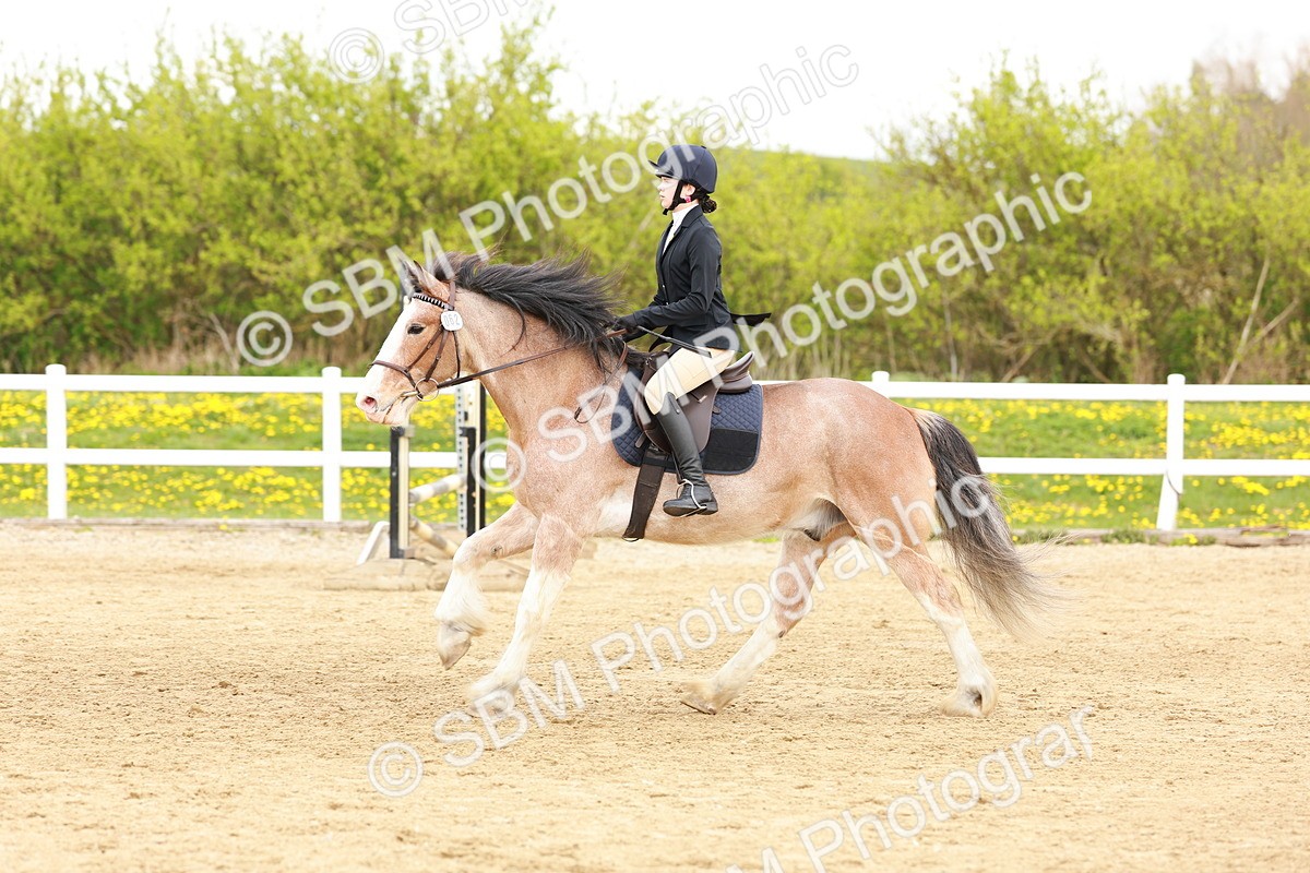 SBM_004180 - Class 3 - 60cm