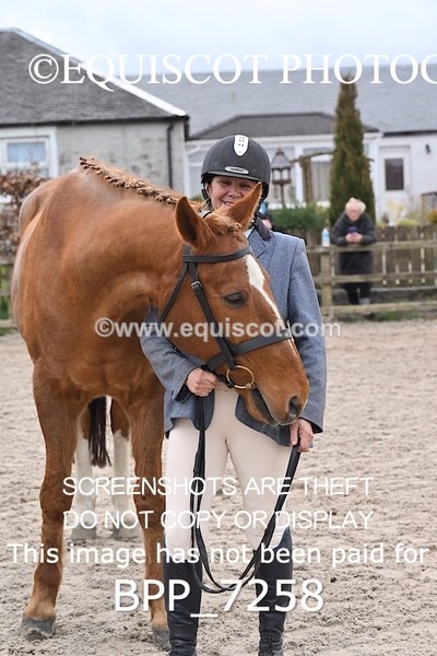 BPP_7258 - RING 1  (RIDDEN HORSES / IN HAND / VETERAN ETC)