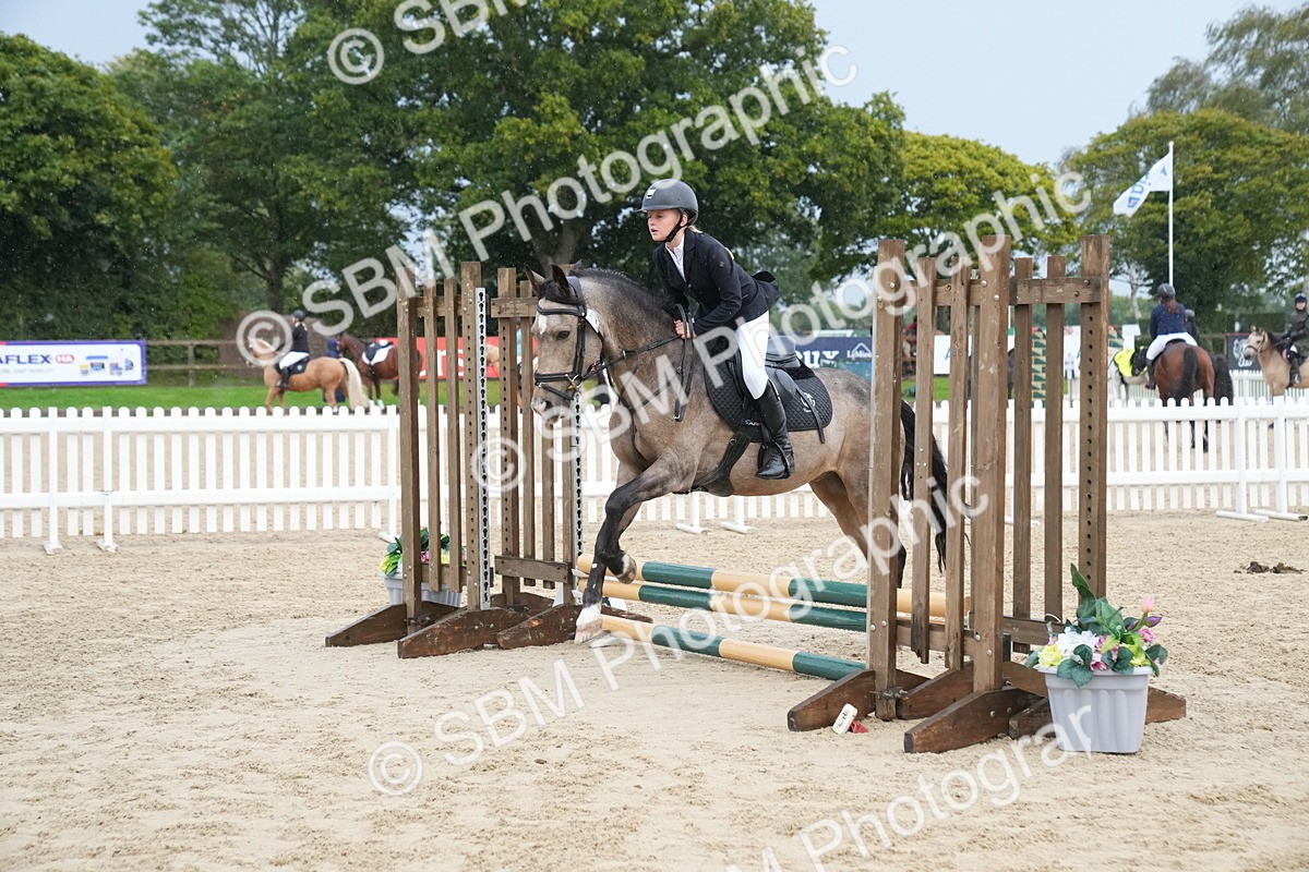 SBM_00216 - J53 - Clear Round 40cm