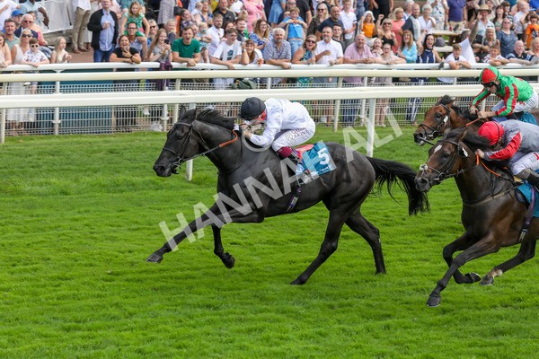 100923-Race 2-Florida-3801 - Race 2 2.15pm John And Judith Marshall Memorial Handicap