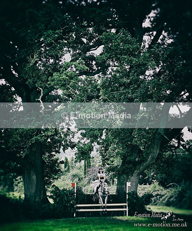 HT180820 0589 - Equestrian