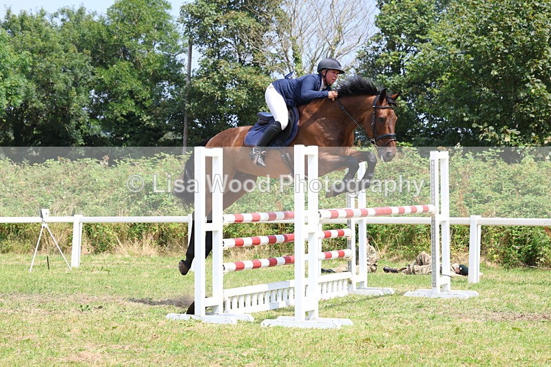 3E7A3387 - Class 10: Senior Foxhunter/1.20 open
