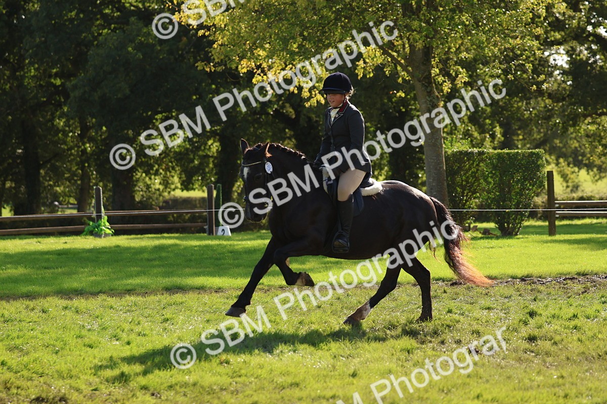 SBM_52457 - S13 - Pony Club Pony