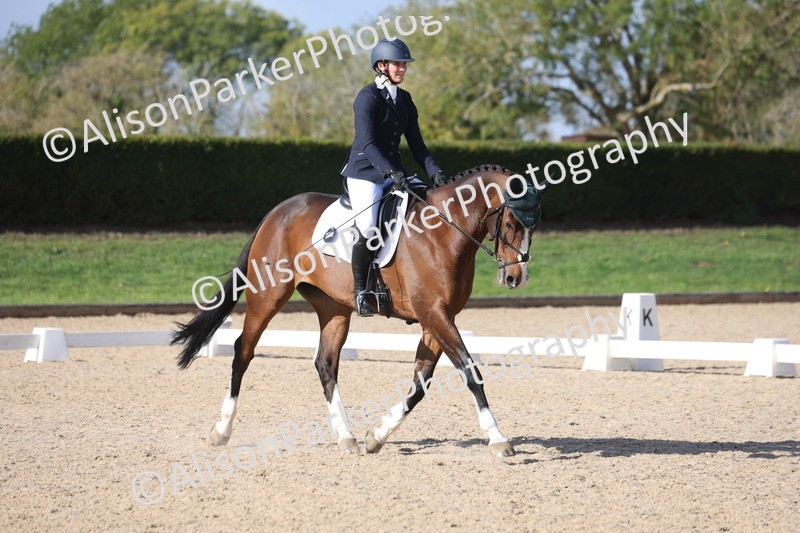 20261010-0627 - Class 5 - Novice 1