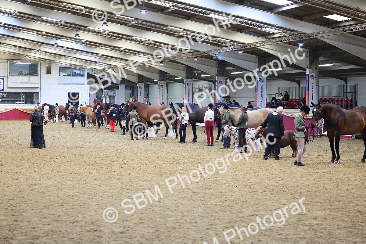 SBM_21188 - Class 902 - Supreme Final IH Veteran