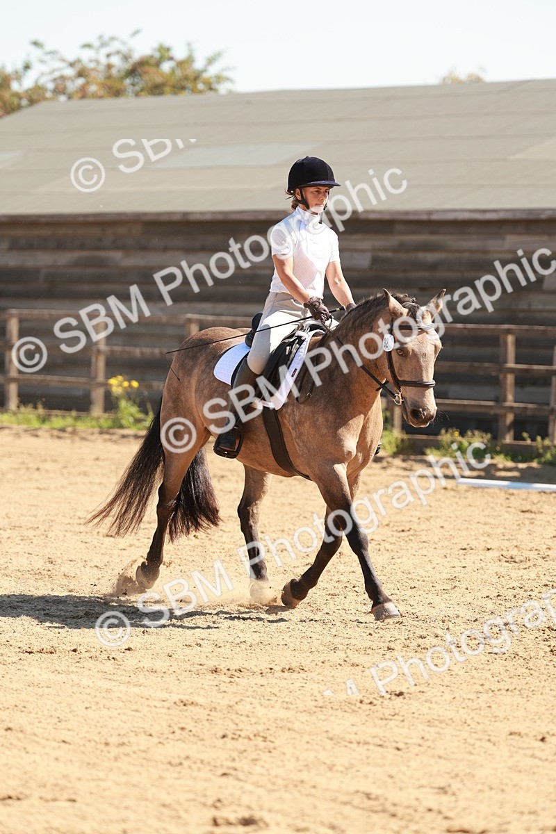 SBM_010611 - Class 4 - Prelim 3