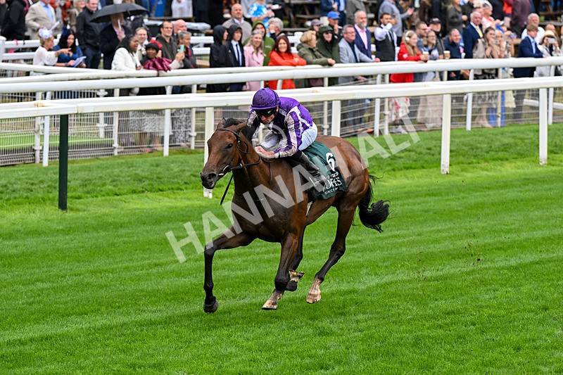 200826-Race 2-Sun Goddess-0288 - Race 2 14.25pm Harry's Half Million By Goffs