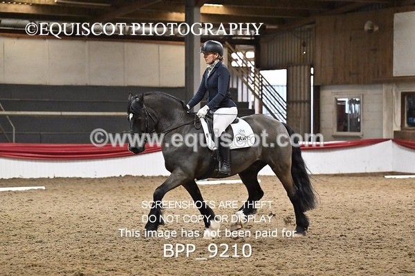 BPP_9210 - ELEM 6