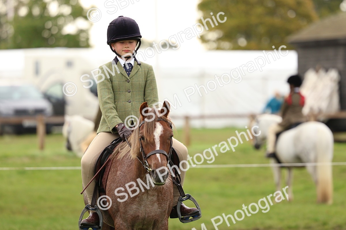 SBM_56697 - S40 - Starters Ridden Showing